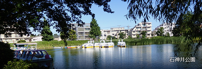 石神井公園